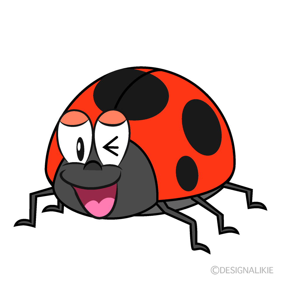 Laughing Ladybug
