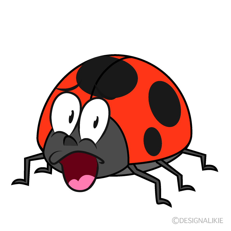 Surprising Ladybug