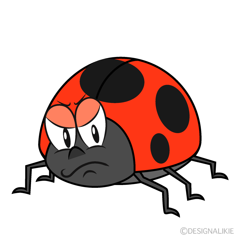 Angry Ladybug