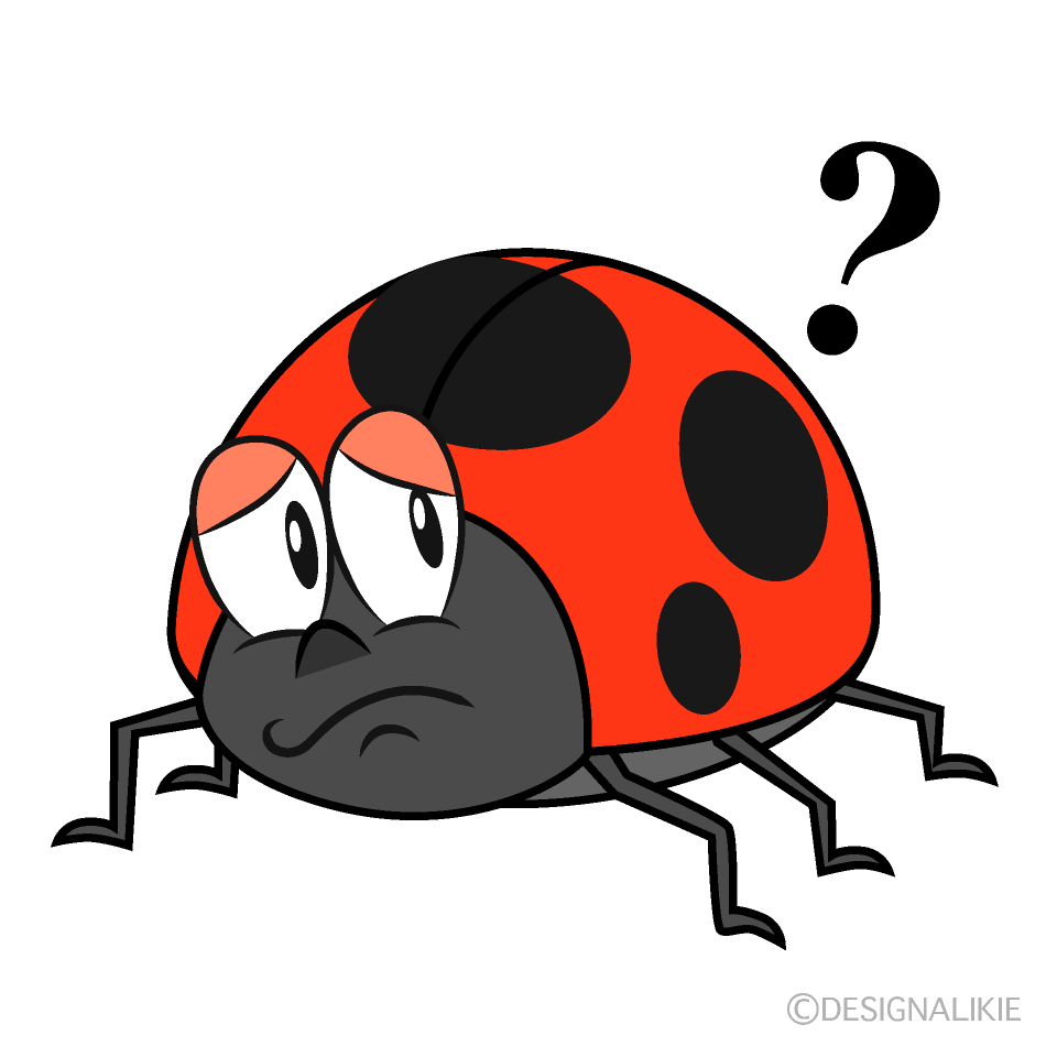 Thinking Ladybug