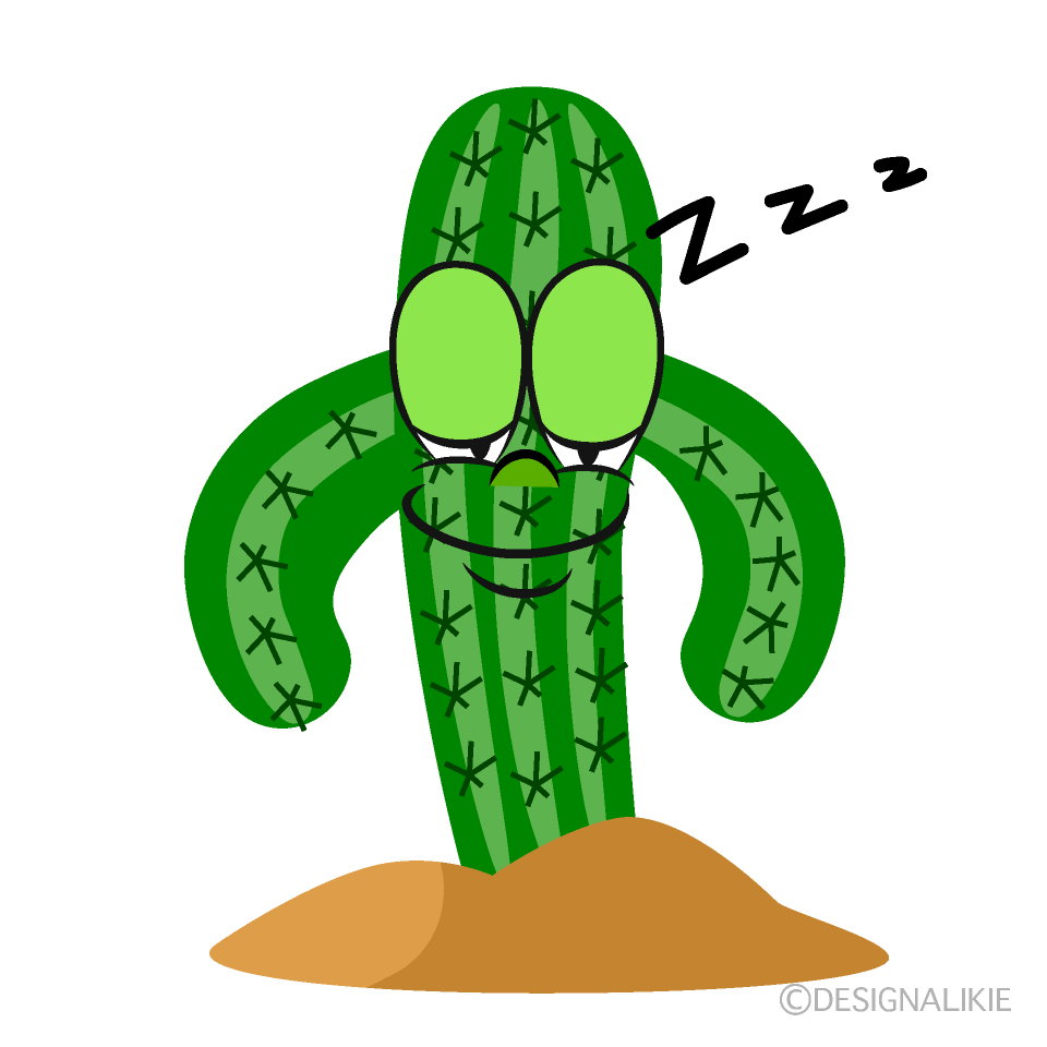 Sleeping Cactus