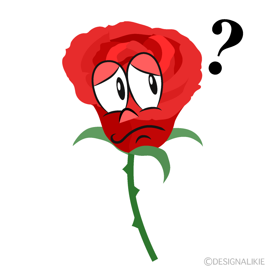 Thinking Rose
