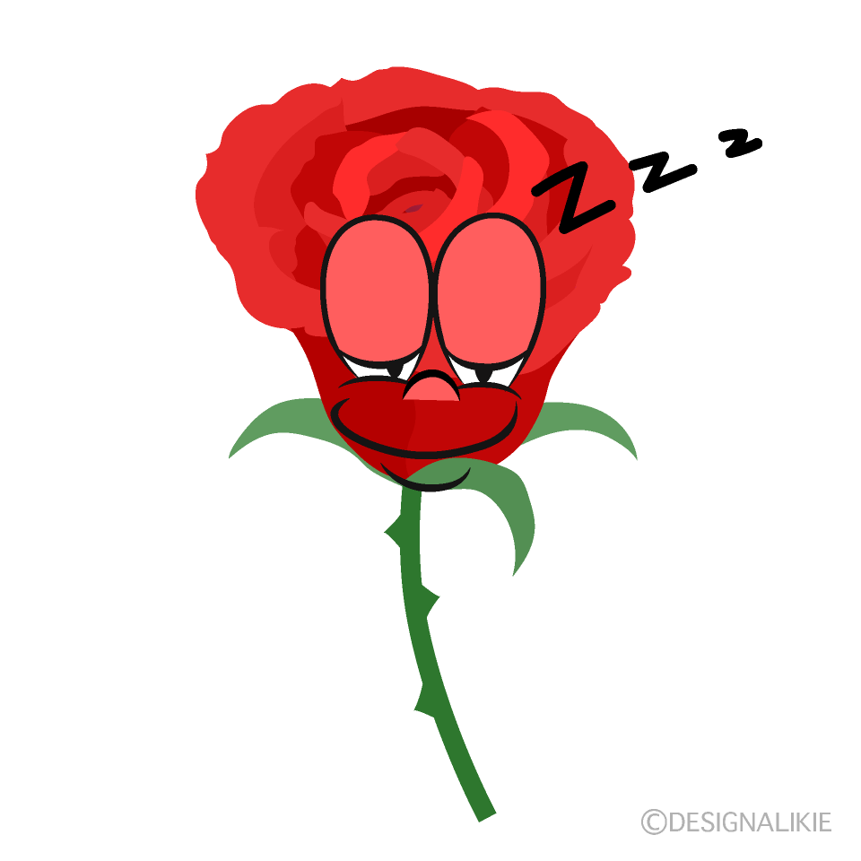 Sleeping Rose