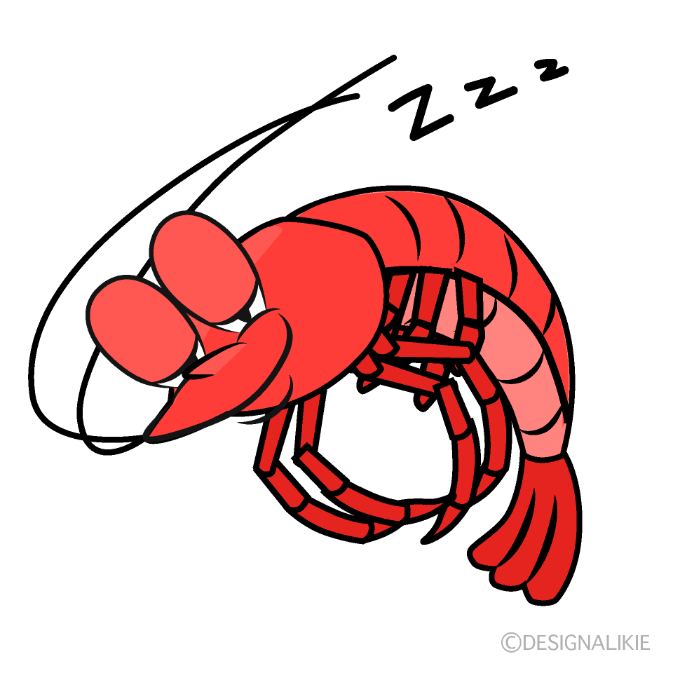 Sleeping Shrimp