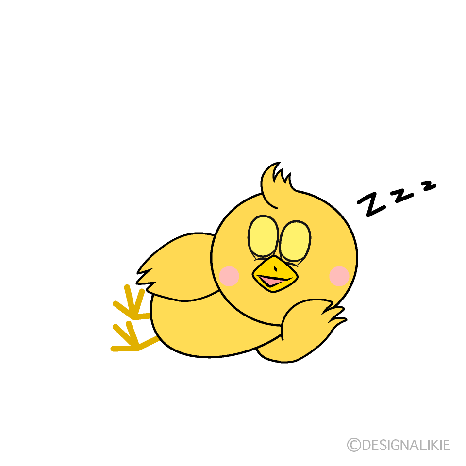 Sleeping Chick