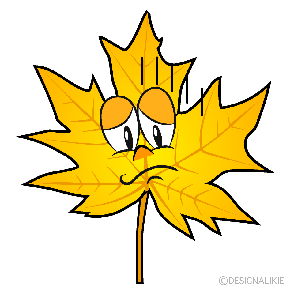 Depressed Yellow Fall Leaf