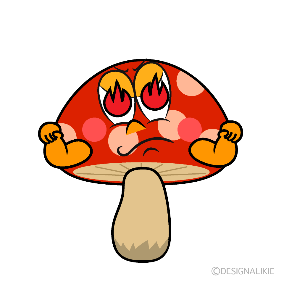 Enthusiasm Red Mushroom