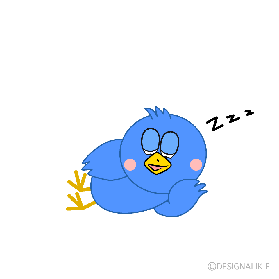 Sleeping Blue Bird
