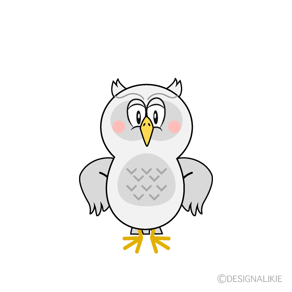 Standing White Owl