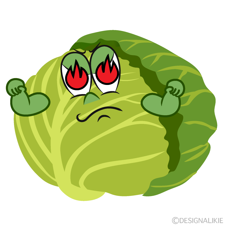 Enthusiasm Cabbage