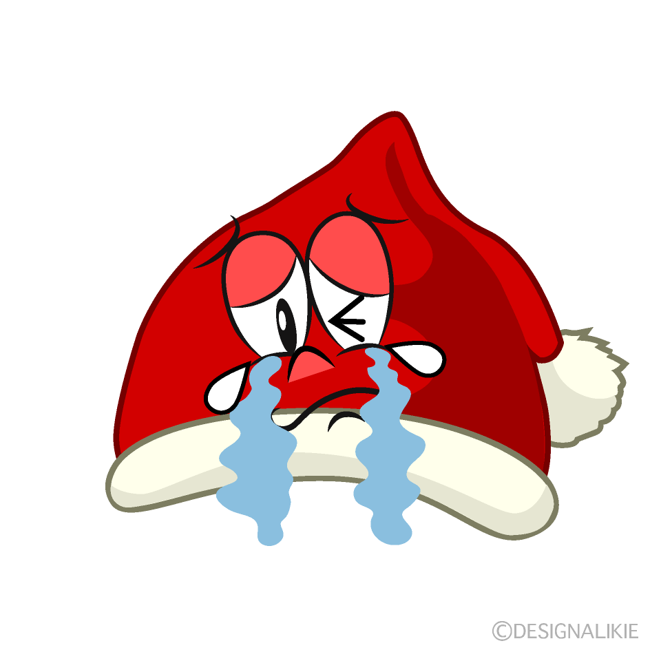 Crying Santa Hat