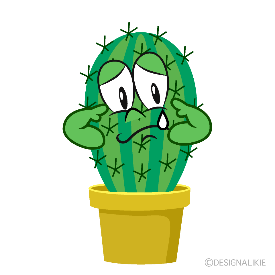 Sad Foliage Cactus
