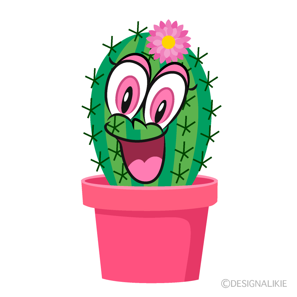 Surprising Girl Cactus
