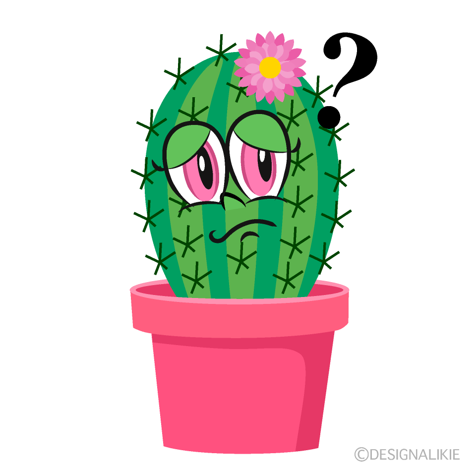 Thinking Girl Cactus