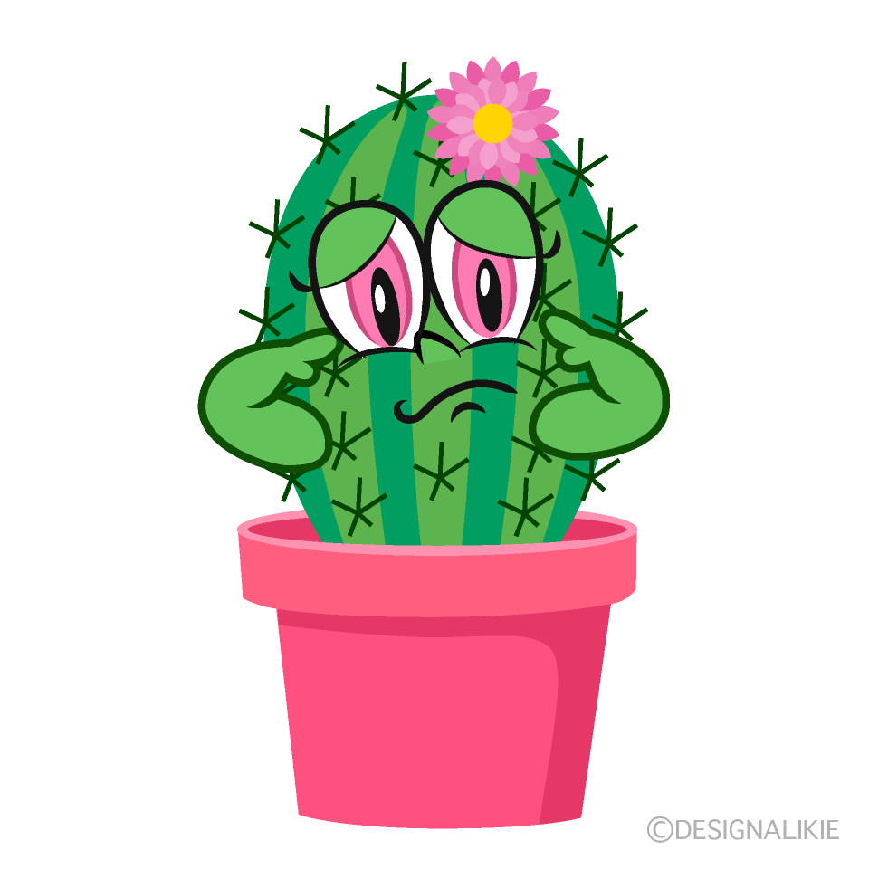 Sad Girl Cactus