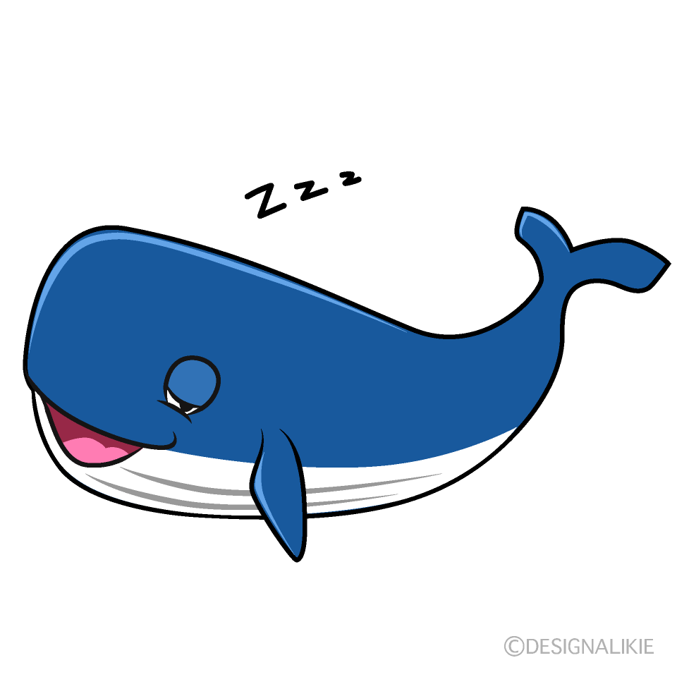Sleeping Whale