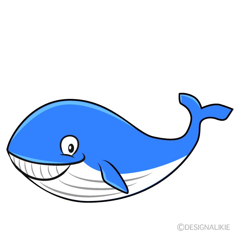 Laughing Whale