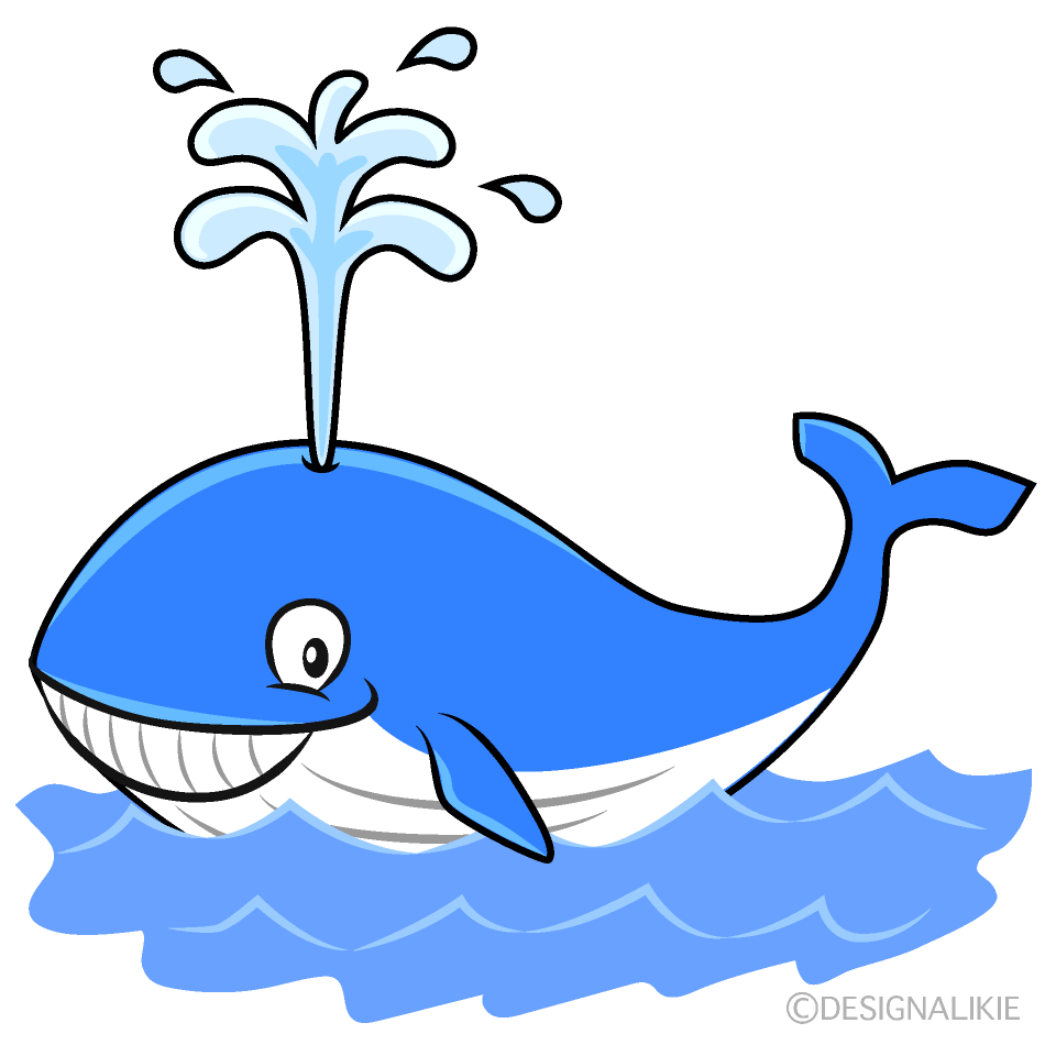 Blue Whale Blows in the Sea 