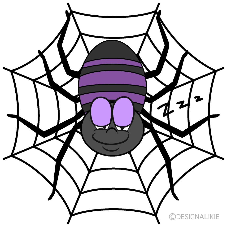 Sleeping Spider Web