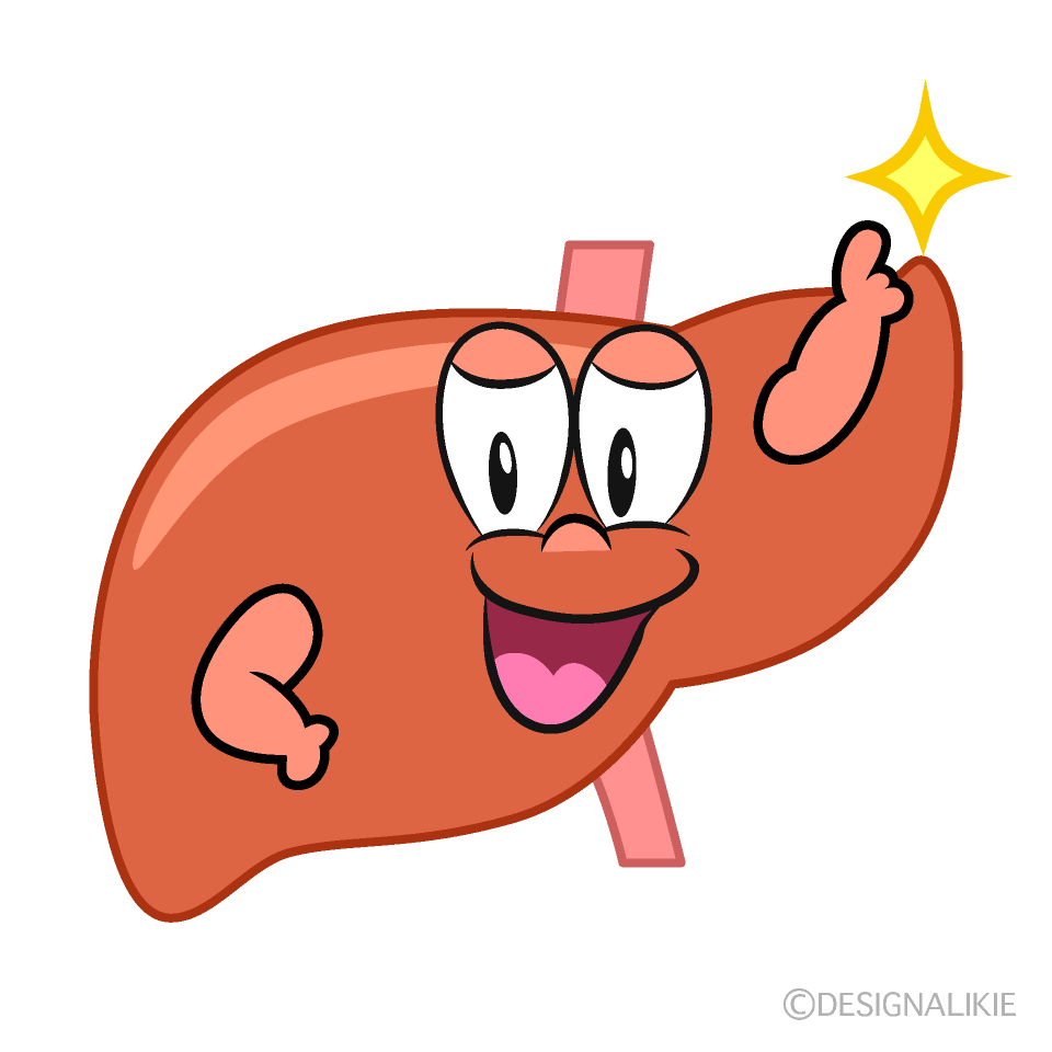 Posing Liver
