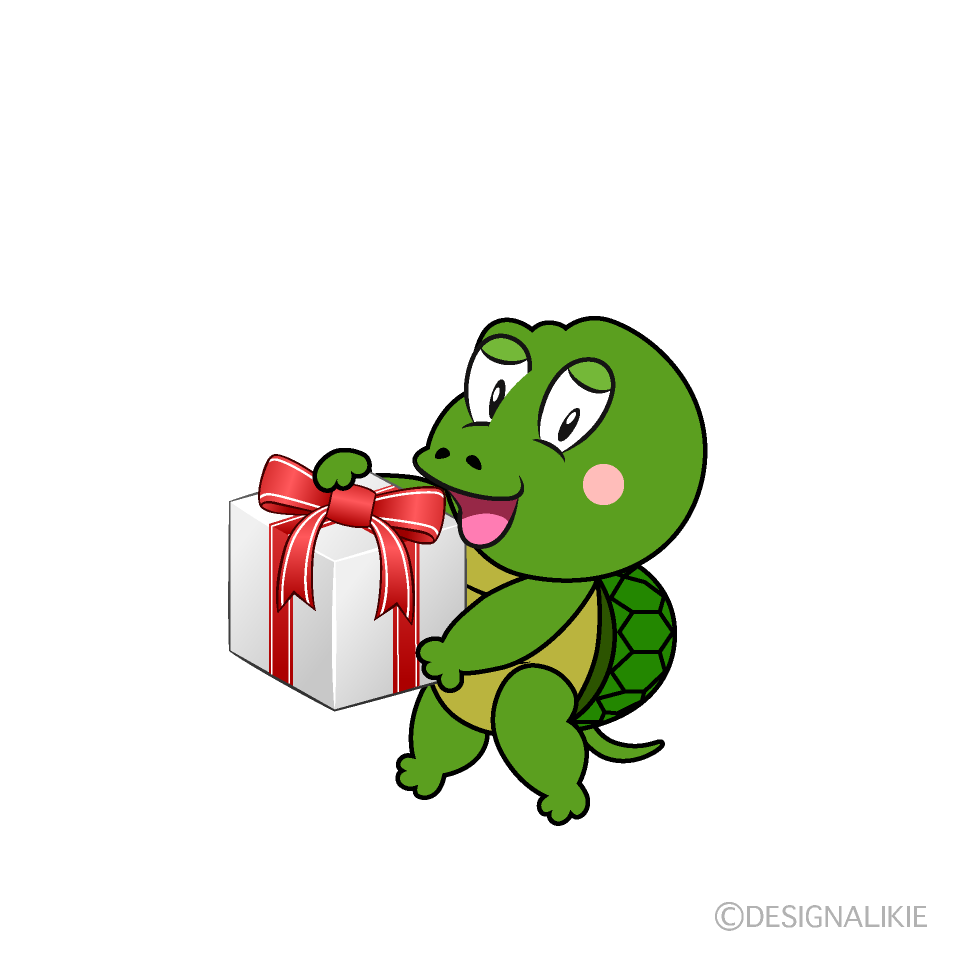 Turtle with Gift