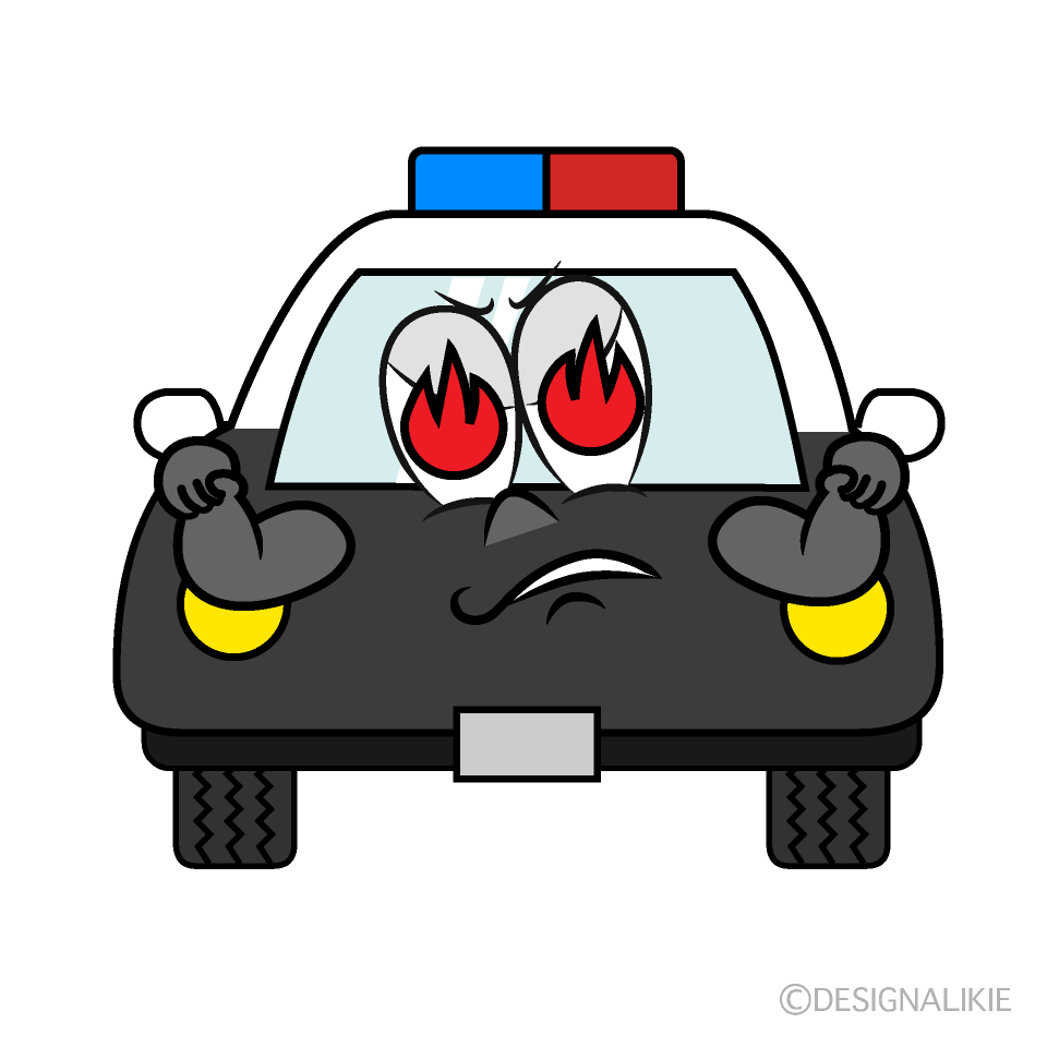 Enthusiasm Police Car