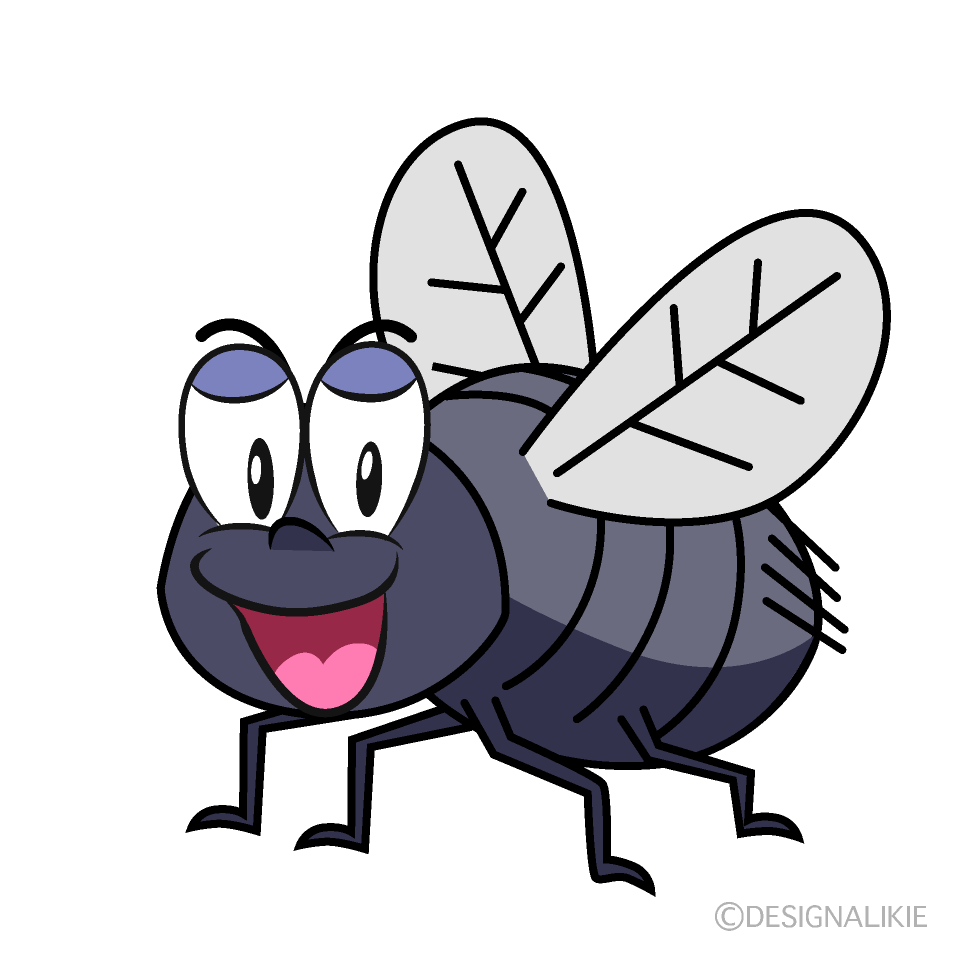 Smiling Fly