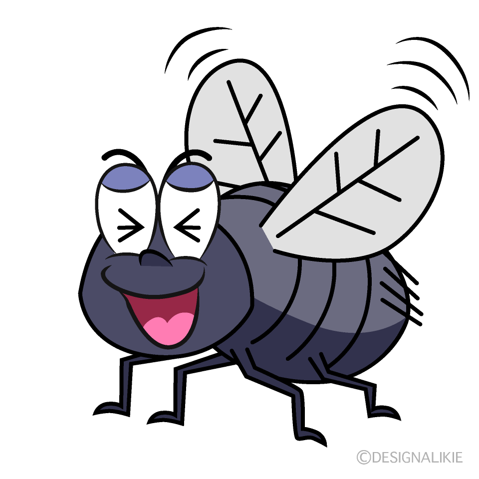 Laughing Fly