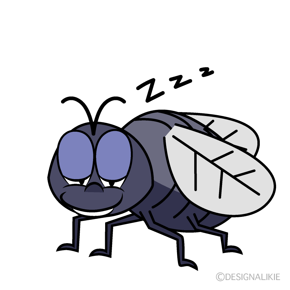 Sleeping Fly