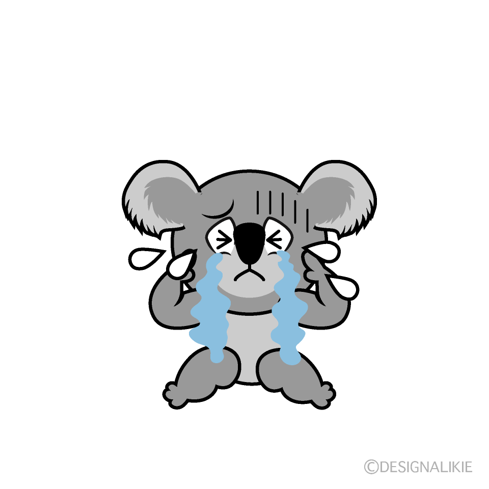 Crying Koala