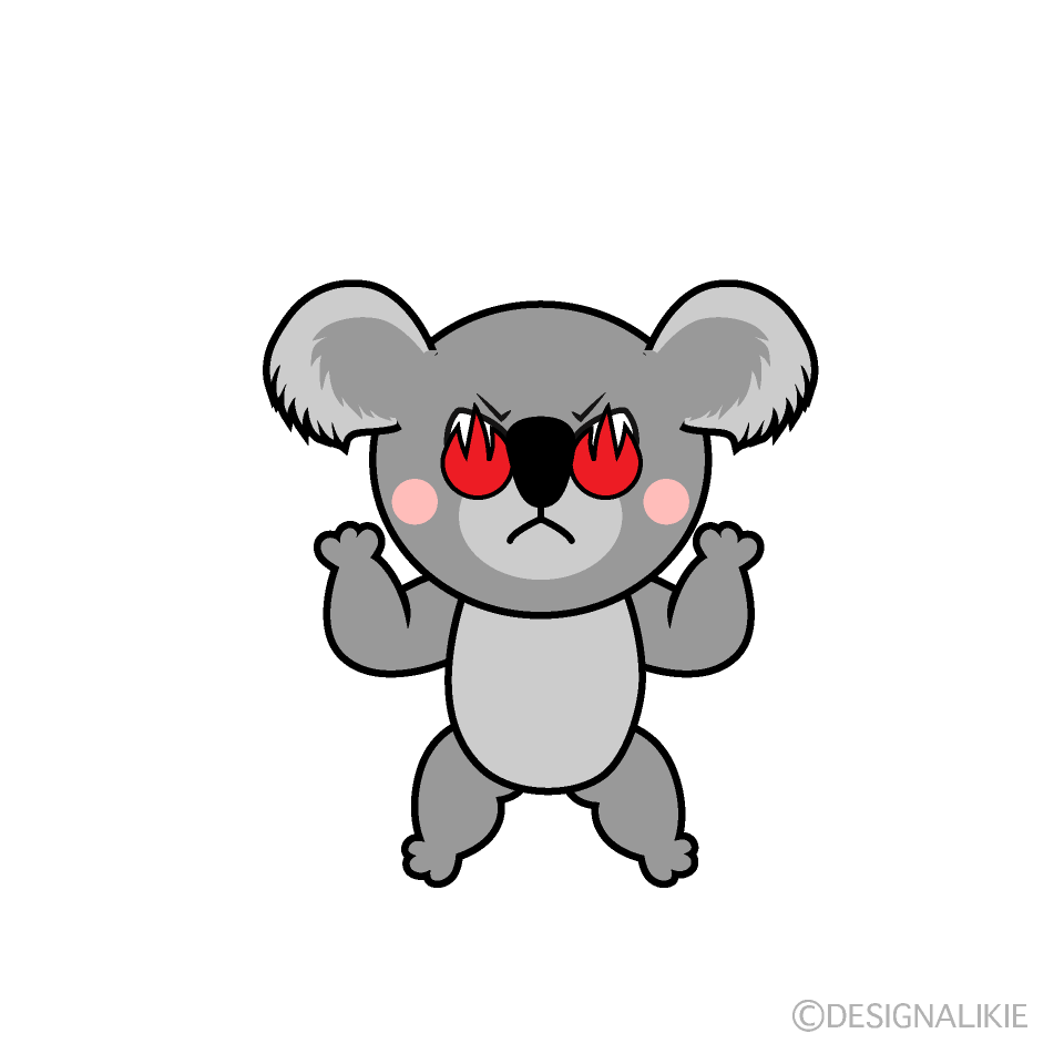 Enthusiasm Koala