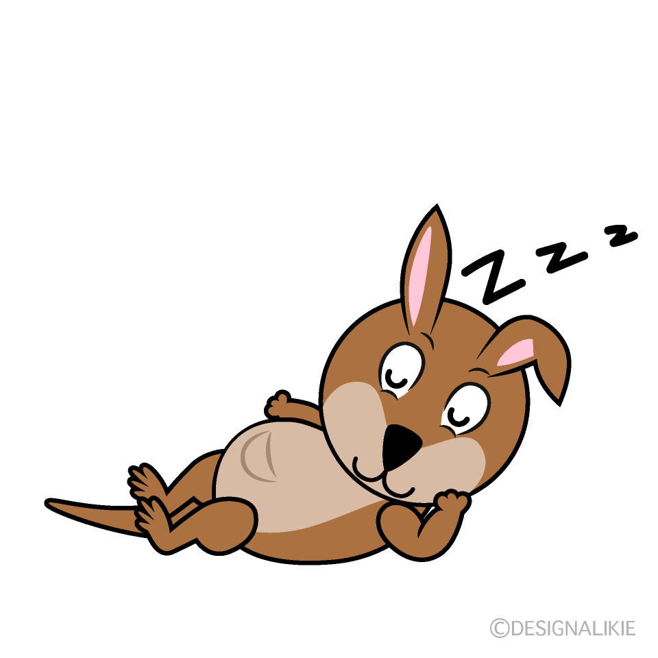 Sleeping Kangaroo