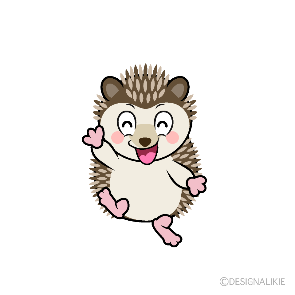 Smiling Hedgehog