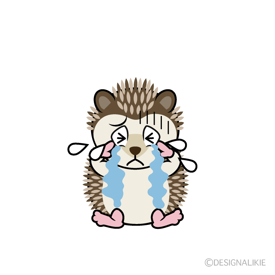Crying Hedgehog