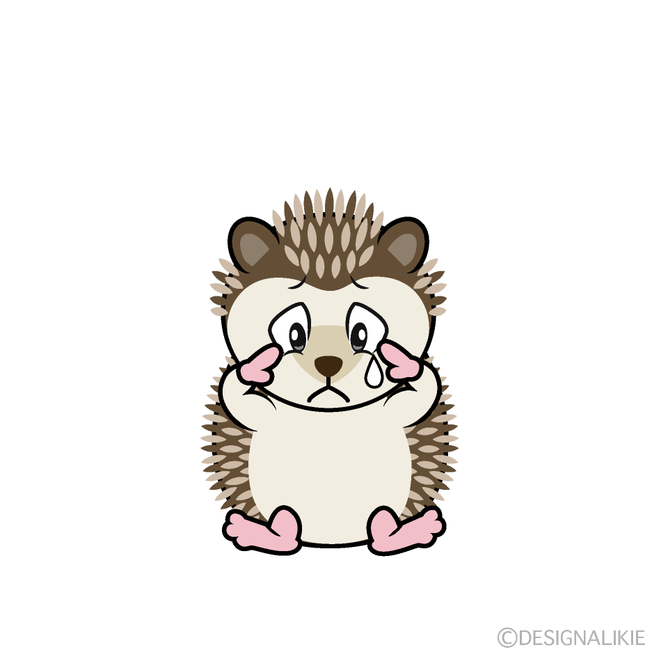 Sad Hedgehog