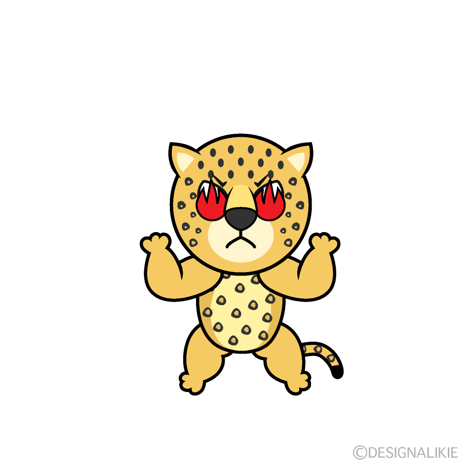 Enthusiasm Leopard