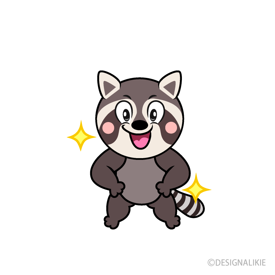 Glitter Raccoon