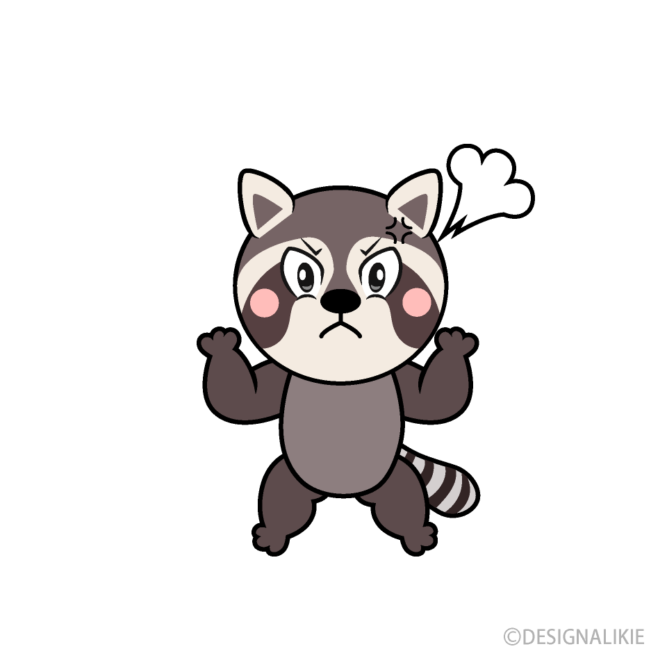 Angry Raccoon