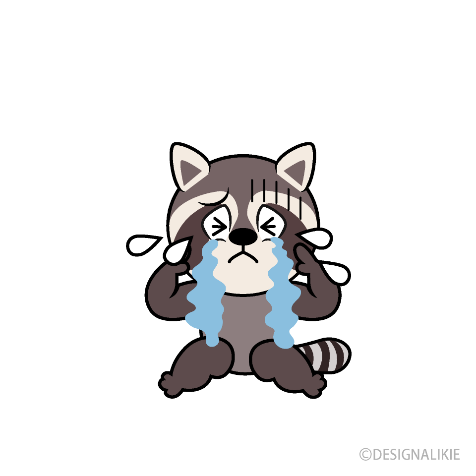 Crying Raccoon
