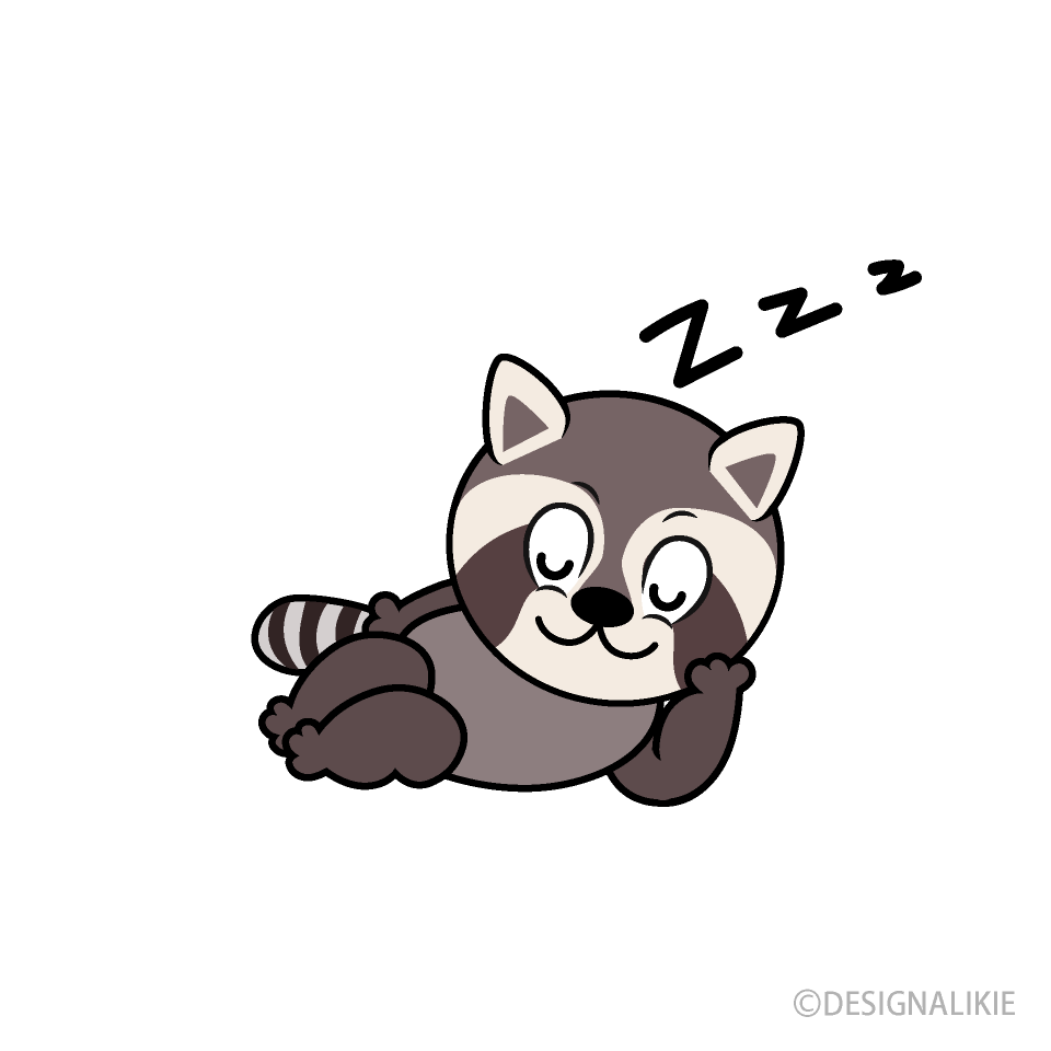 Sleeping Raccoon