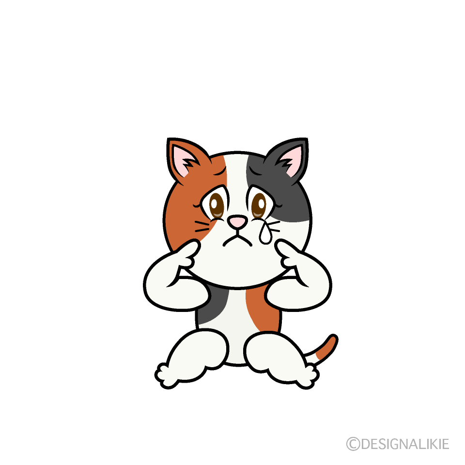 Sad Calico Cat Cartoon Character Image