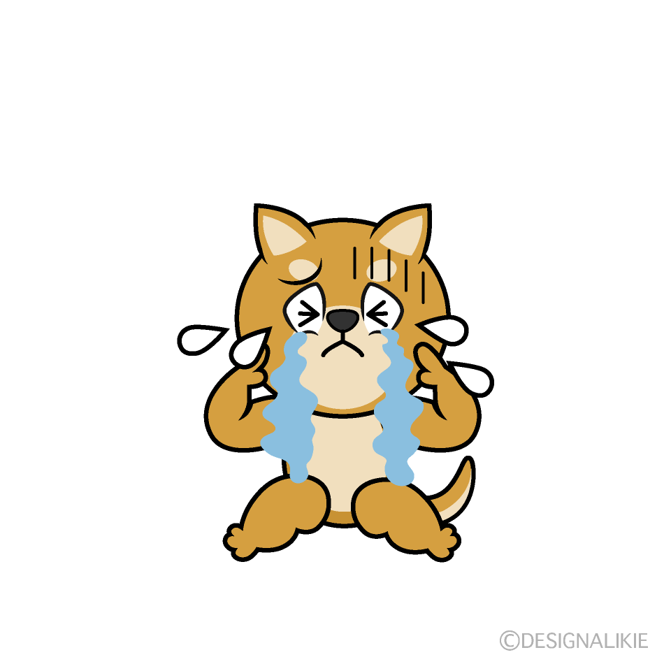 Free Crying Shiba Inu Cartoon Character Clipart | Charatoon