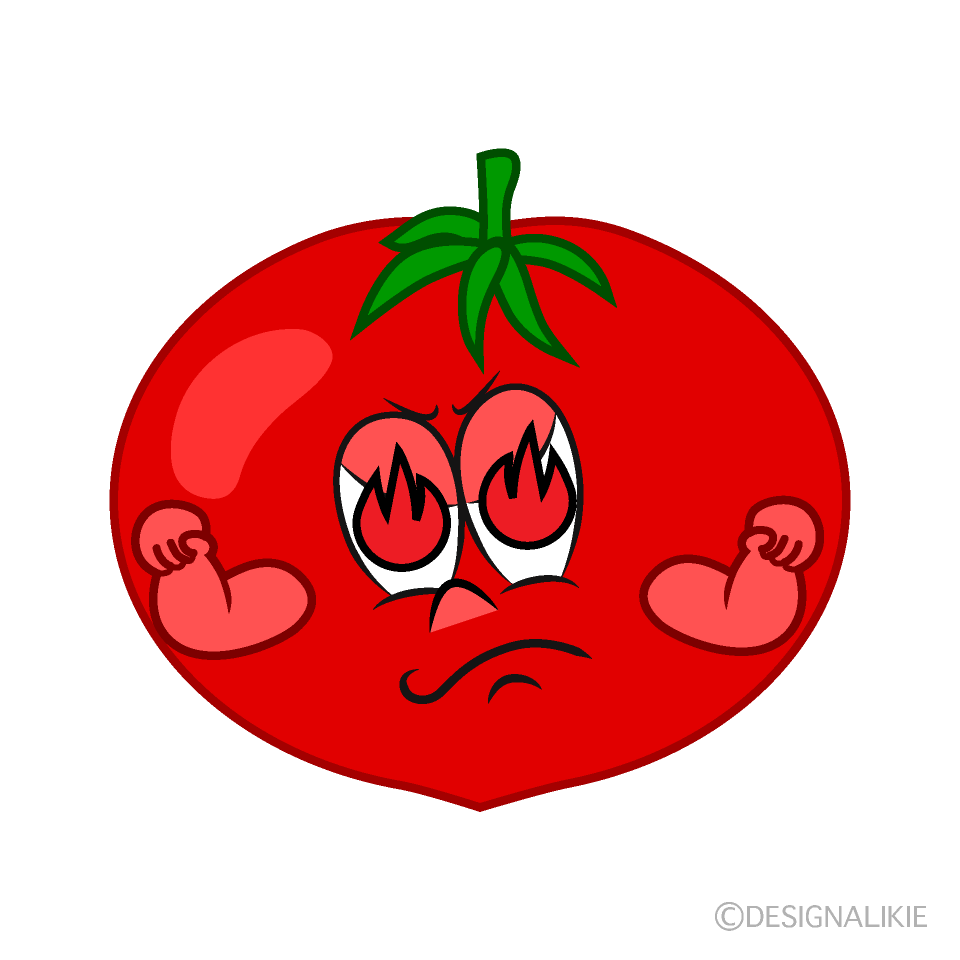Enthusiasm Tomato