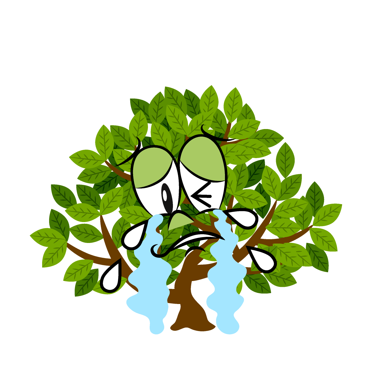 Arbusto Llorando