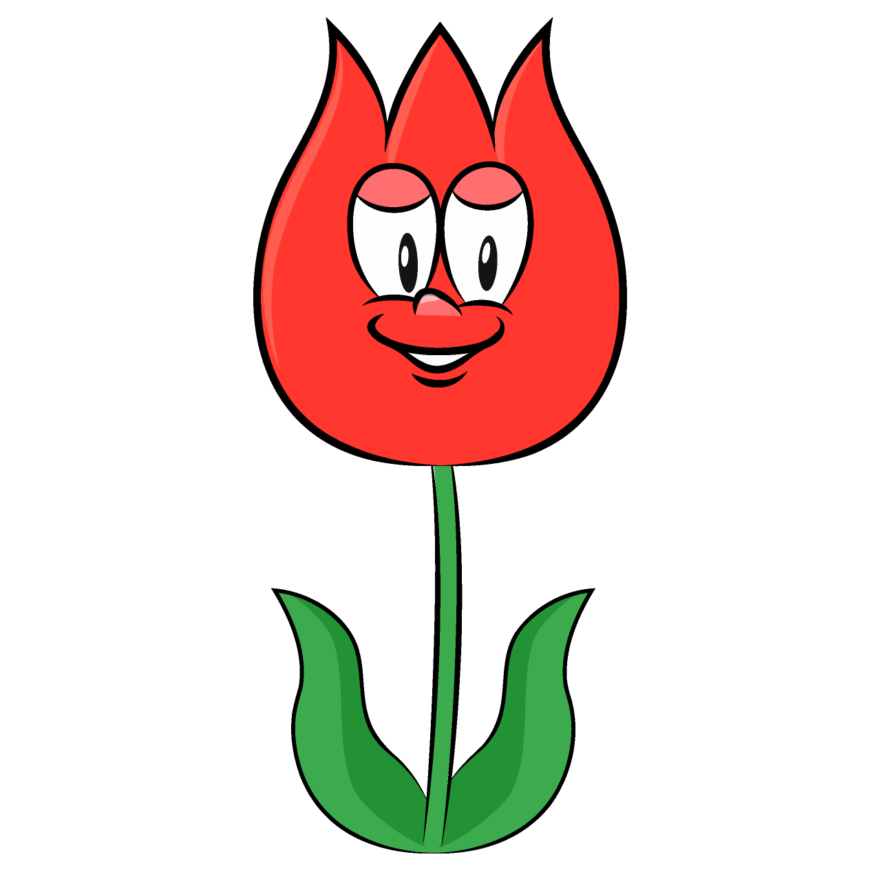 Tulipán