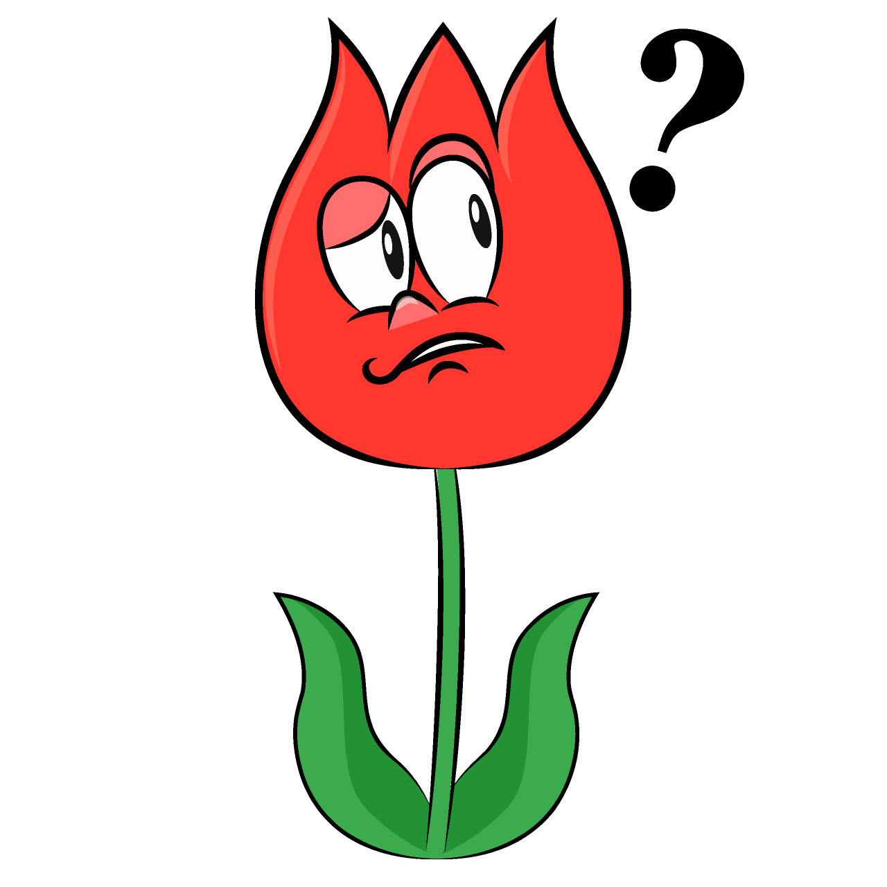 Tulipán Pensativo