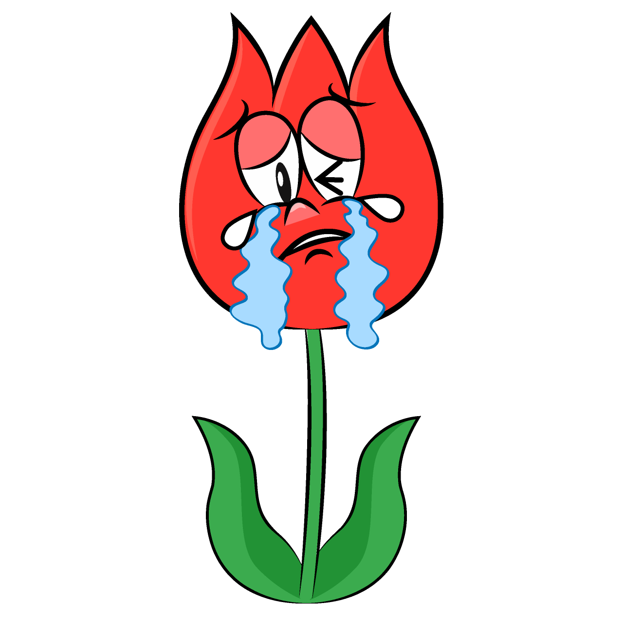 Tulipán Llorando
