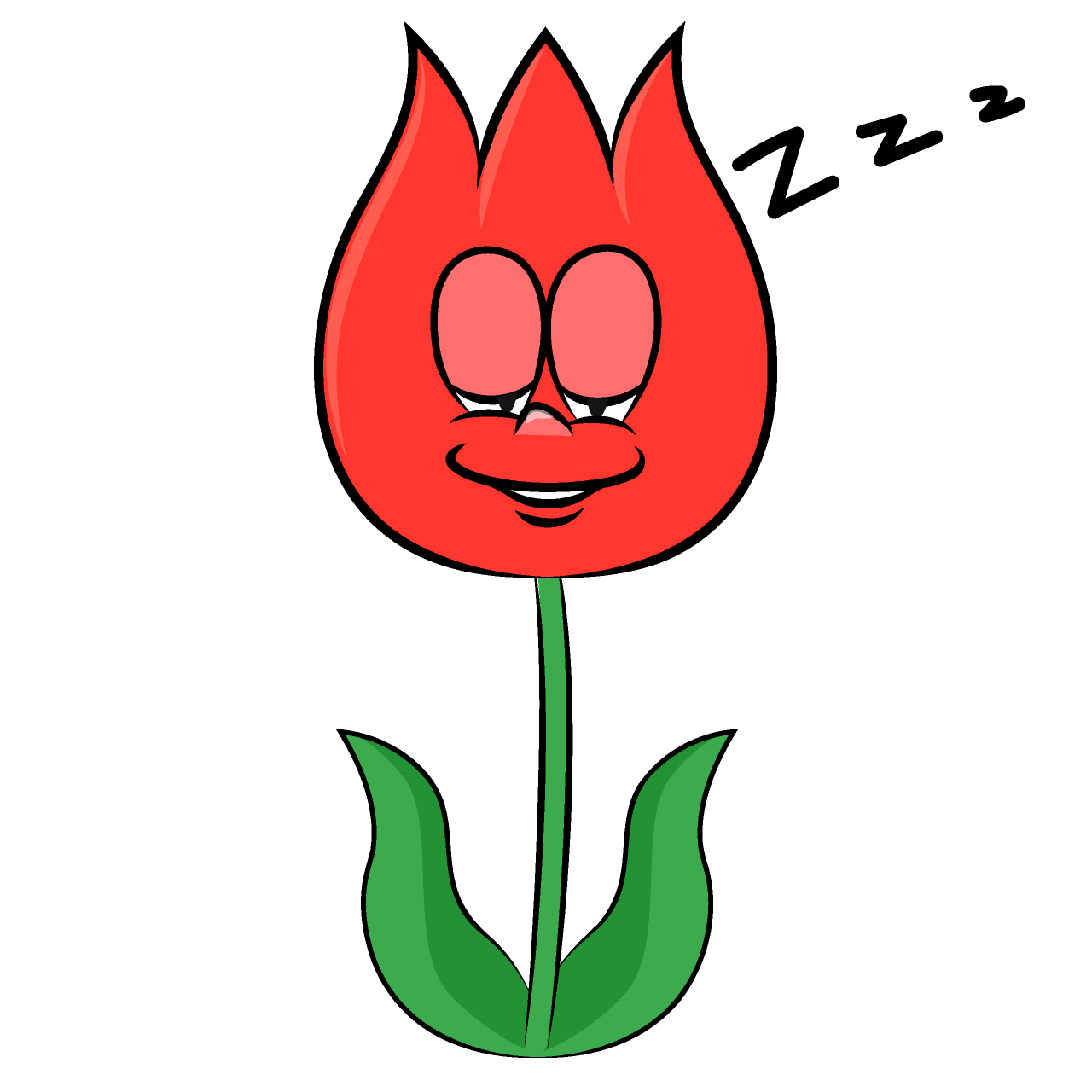 Tulipán Durmiendo