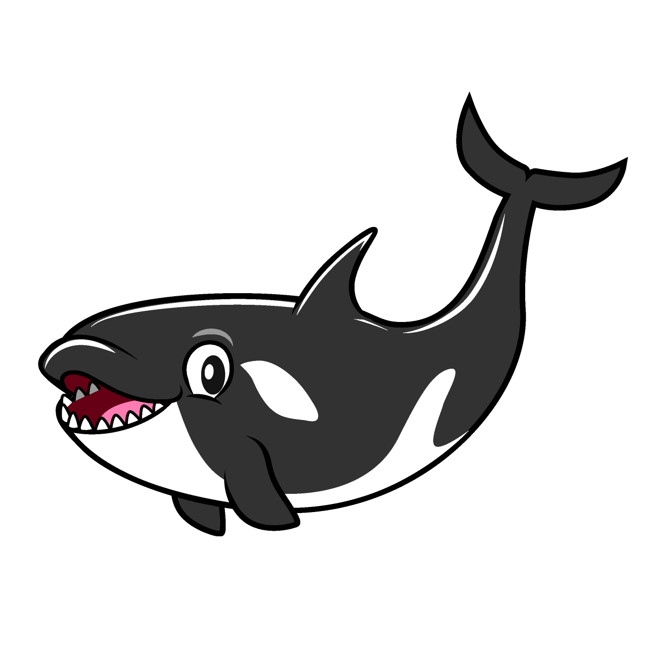 Smiling Orca