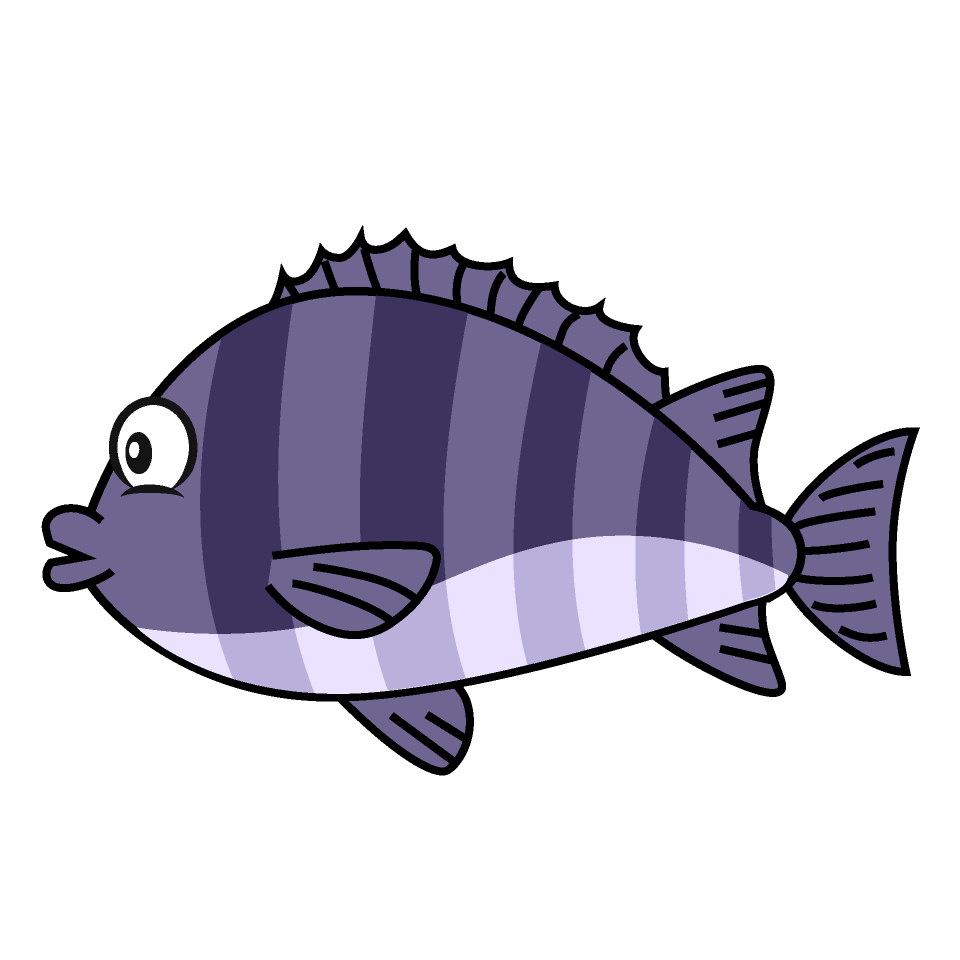 Sea Bream